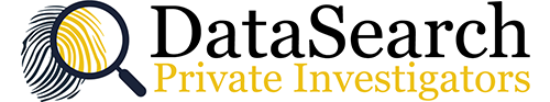 DataSearch Logo